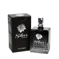 SilverStudio1